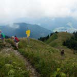 Wanderweg unter dem Hochgerngipfel