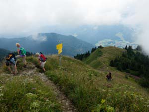 Wanderweg unter dem Hochgerngipfel