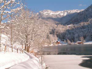 Winter am Wössner See